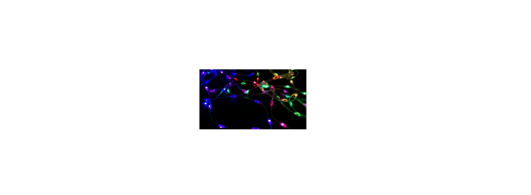 Lampki choinkowe IP65 taśma LED RGB 10m