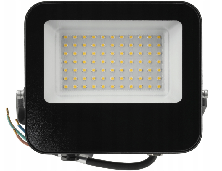 Naświetlacz LED Heros 50W - IP65 - biały neutralny
