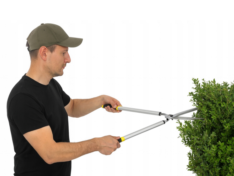 Nożyce ogrodowe do żywopłotu 12”
