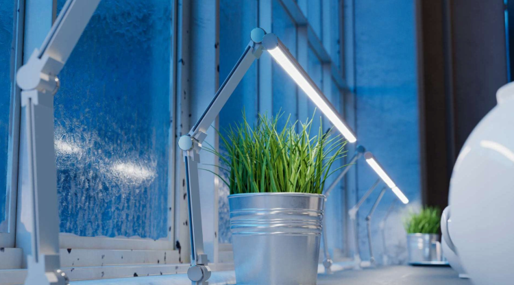 5x Klosz Mleczny Przesłonka Do Profili 3m Do Profili X, MICO Lumines