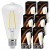 6x Żarówka LED E27 Filament ST64 6W 110lm/W 3000K