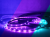 Taśma LED RGB 5m 12V 72W Wielokolorowa Rolka Pasek IP20 300LED Kolorowa